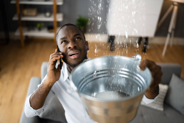 Best Water damage cleanup near me  in East Richmond Heights, CA