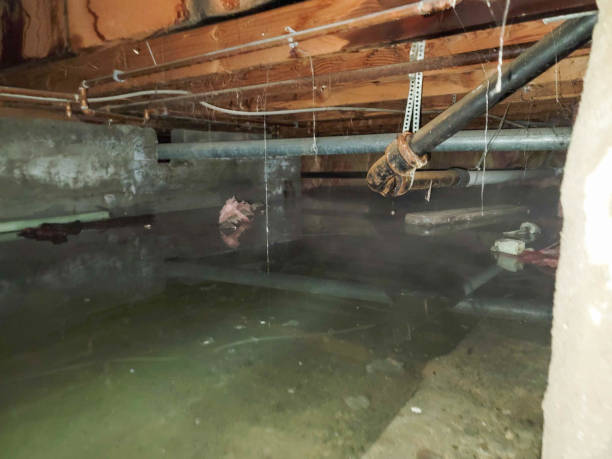 Best Water damage restoration company  in East Richmond Heights, CA