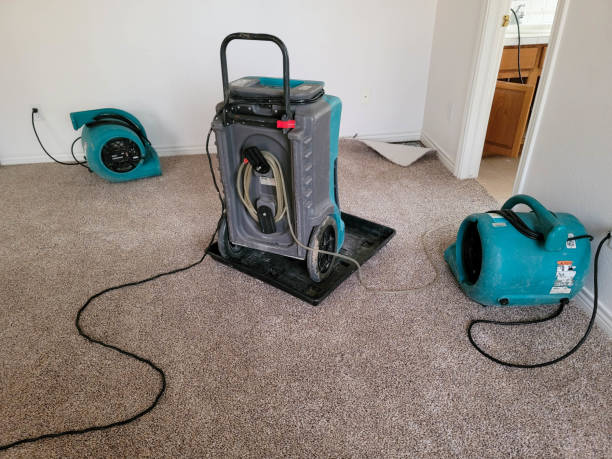 Best Flooded house restoration  in East Richmond Heights, CA