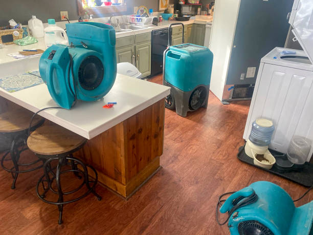 Best Commercial water damage restoration  in East Richmond Heights, CA