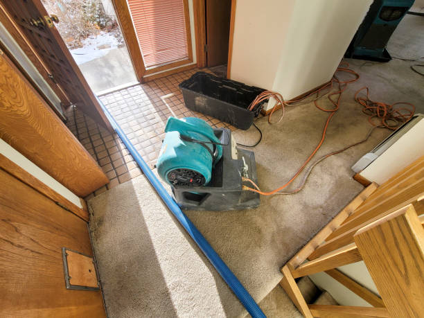 Best Mold removal after water damage  in East Richmond Heights, CA