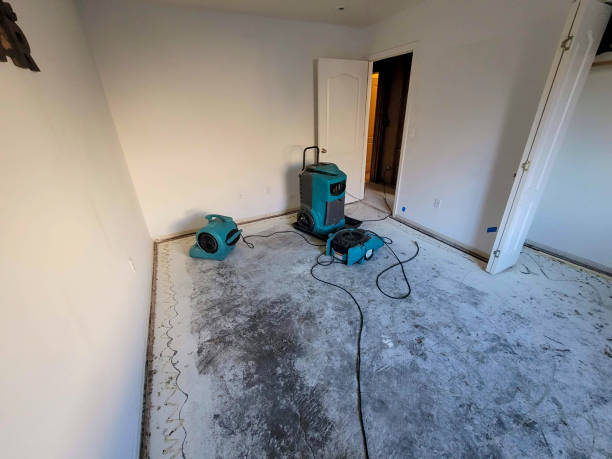 Best Water damage contractors near me  in East Richmond Heights, CA