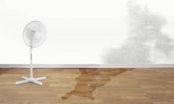 Best 24/7 water damage repair  in East Richmond Heights, CA