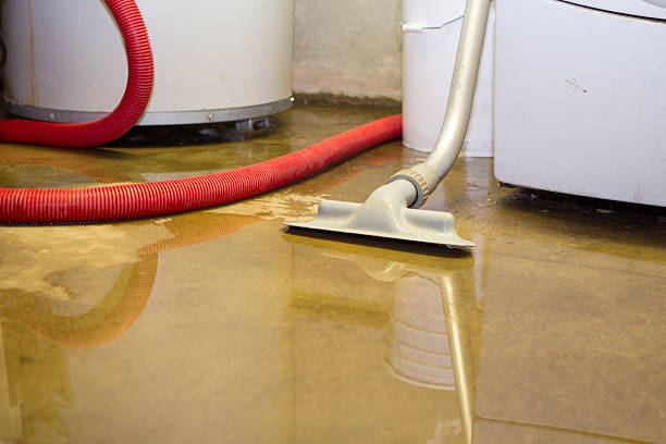 Best Flood restoration services  in East Richmond Heights, CA