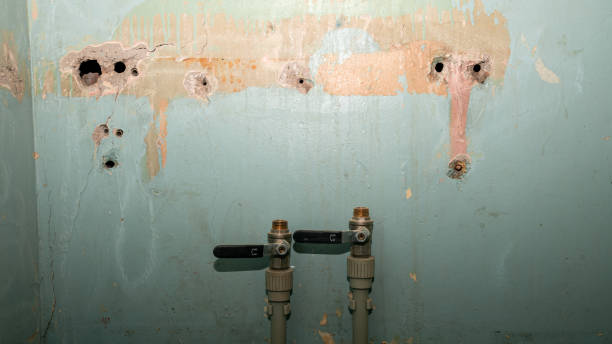 Best Basement water damage restoration  in East Richmond Heights, CA