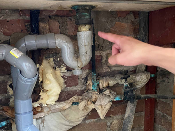  East Richmond Heights, CA Water damage restoration Pros