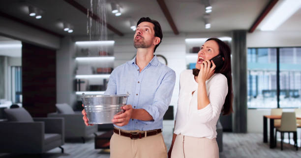 Best Flood restoration services  in East Richmond Heights, CA