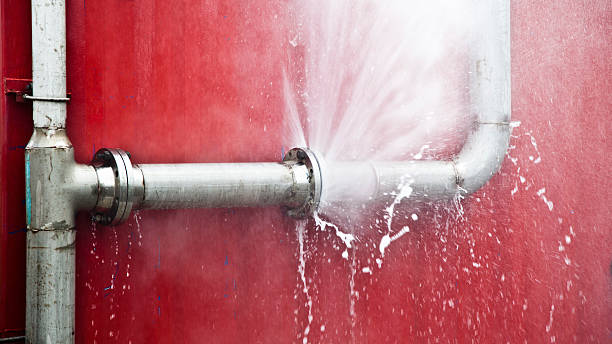 Best Professional water damage repair  in East Richmond Heights, CA